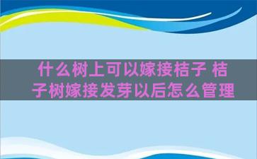 什么树上可以嫁接桔子 桔子树嫁接发芽以后怎么管理